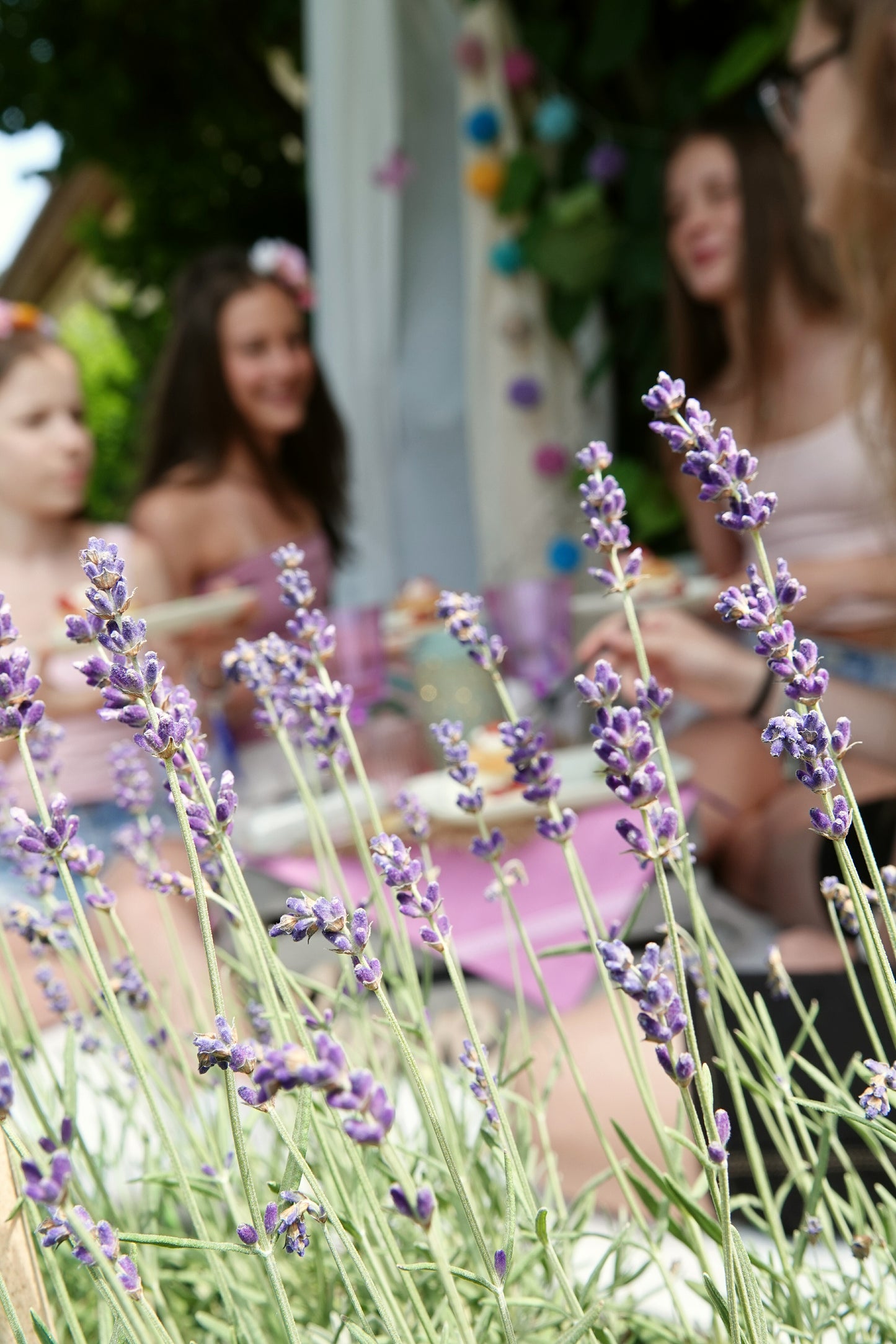 "Sugar Vibes" Tini Piknik 4 fő részére